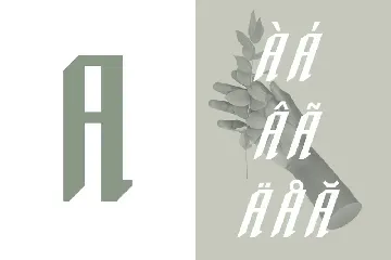 Spearhead Typeface|Sport Italic Font