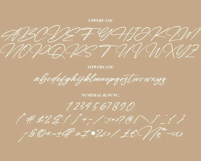 Detinata Modern Signature Font