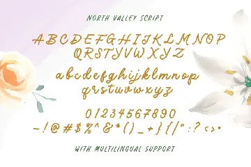 North Valley - Cute Sans and Script font