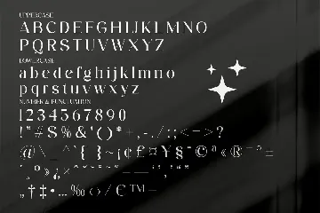 Aftesto Modern Serif Font