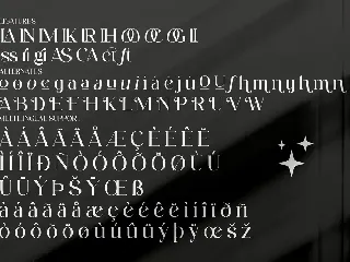 Aftesto Modern Serif Font