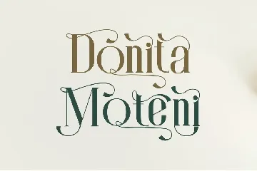 Monita Elegant Ligature Serif Typeface font