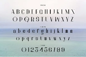 Monita Elegant Ligature Serif Typeface font