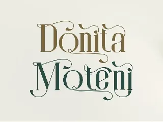 Monita Elegant Ligature Serif Typeface font