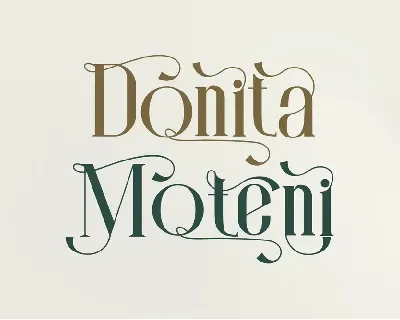 Monita Elegant Ligature Serif Typeface font