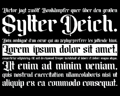 Amika Blackletter Font