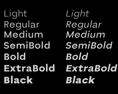 Bornia Sans Modern Minimal font