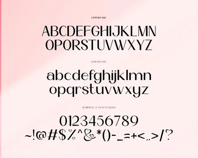 Boiller Typeface font