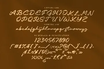 Estancy Elegant Calligraphy Font