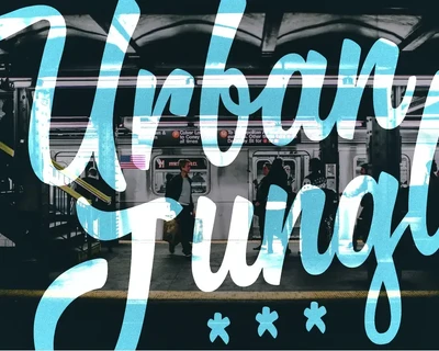 Brooklyn Script font