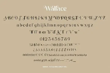 Wallace - Decorative Serif Font