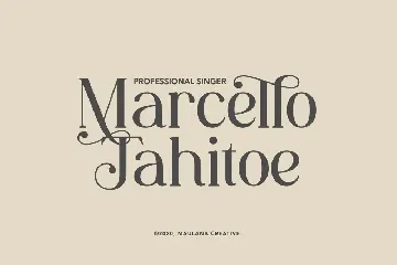 Wallace - Decorative Serif Font