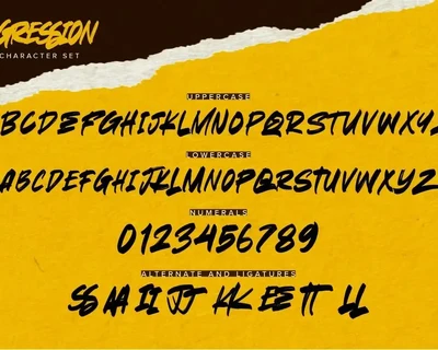 Agression - Authentic Rough Brush font