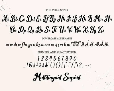 Wild Rhytm font