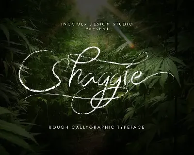 Shaggie font