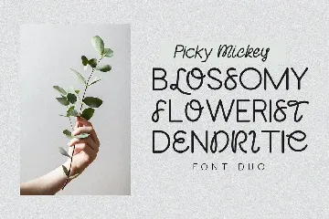 Picky Mickey - Font Duo