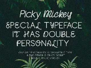 Picky Mickey - Font Duo