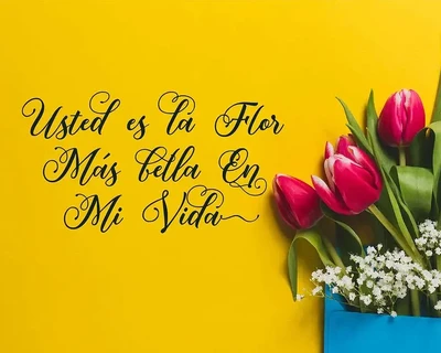 Mahligai - Script font