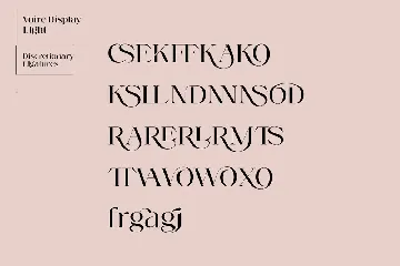 Voire - Elegant Beauty Serif Family font