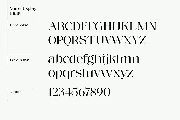 Voire - Elegant Beauty Serif Family font