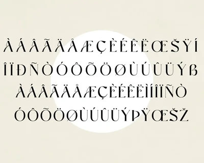 Vasquz Stylish Display Font