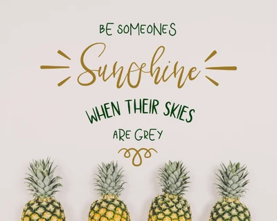 Lushmore Font Trio