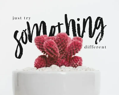 Academy House Font