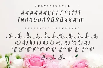 Heyladish Script font