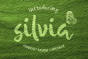 Silvia font