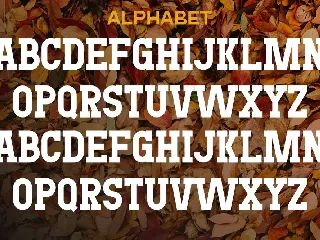 Turning Leaf Font
