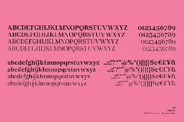 Macaw - Serif Typeface font