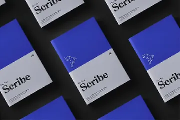 Macaw - Serif Typeface font