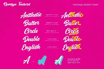 Vintage Scripter font