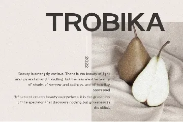 Trobika â€“ Modern Sans Serif font