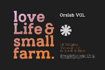 Orslab V01 font