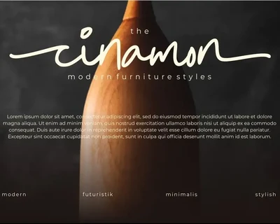 Salsters | Modern Monoscript font