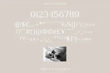 Qochy - Modern Serif Font