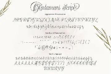 Kintamani Script font