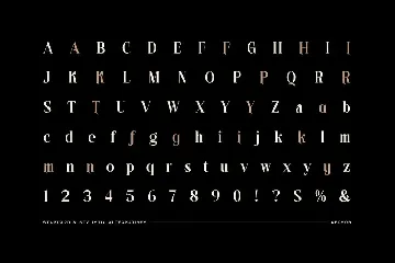 Aeksob - Modern Serif Display Font