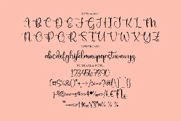 Butterlise Script Font