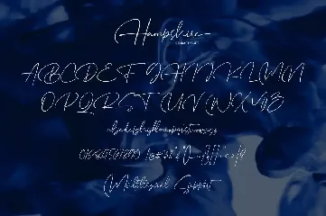 Hampshire - Modern Script font