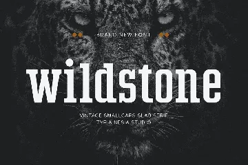 Wildstone - wild vintage smallcaps slab serif font