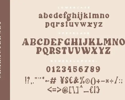 Wintter Modern Chic Serif font