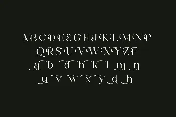 Gaela Modern Serif Font