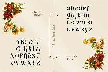 Modern and Aesthetic Serif - Granchy font