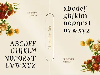 Modern and Aesthetic Serif - Granchy font