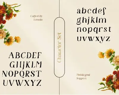 Modern and Aesthetic Serif - Granchy font