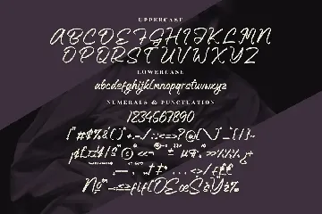 Black Stoyem Modern Calligraphy Font