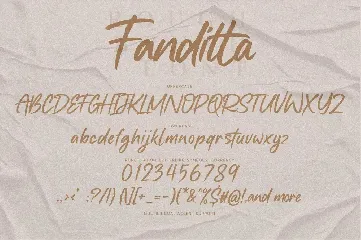 Fanditta - Brush Font