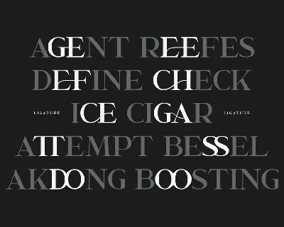 Garcedo Display Serif Font